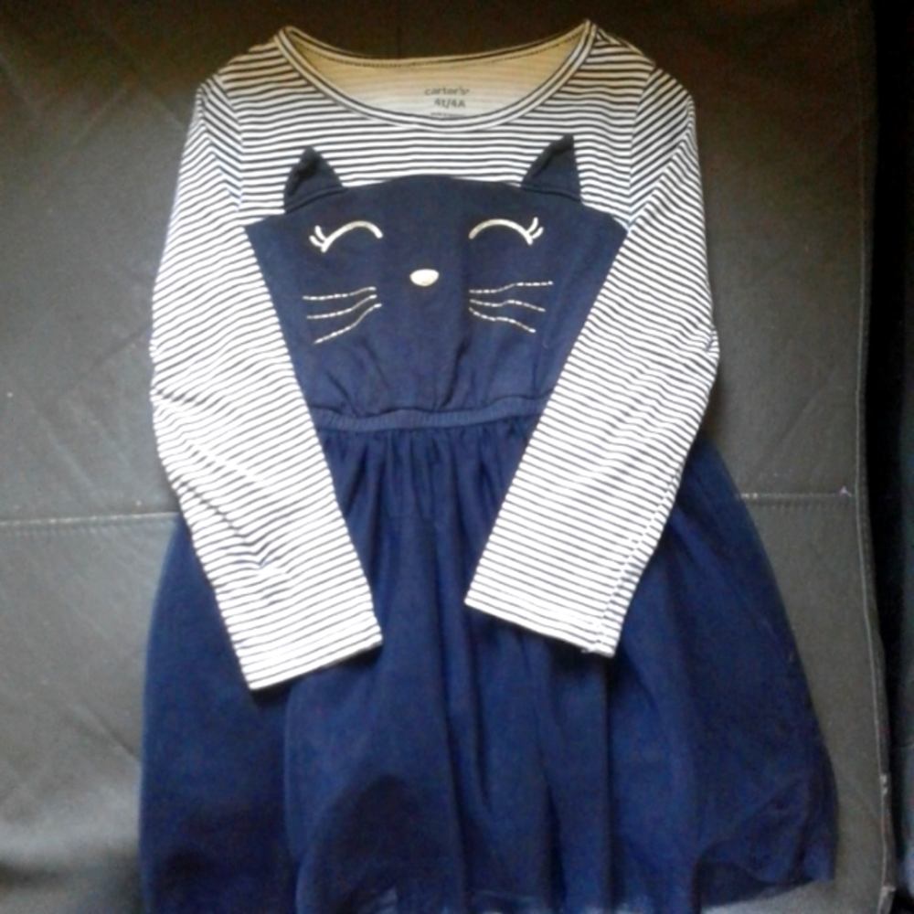 Carter 4T Cat Dress